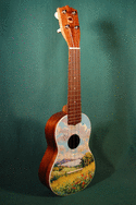 Hawaiian Painted Soprano